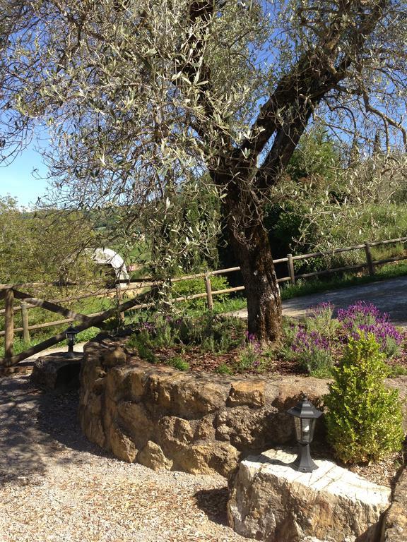 Podere Poggio Benedetto Saturnia Pokój zdjęcie