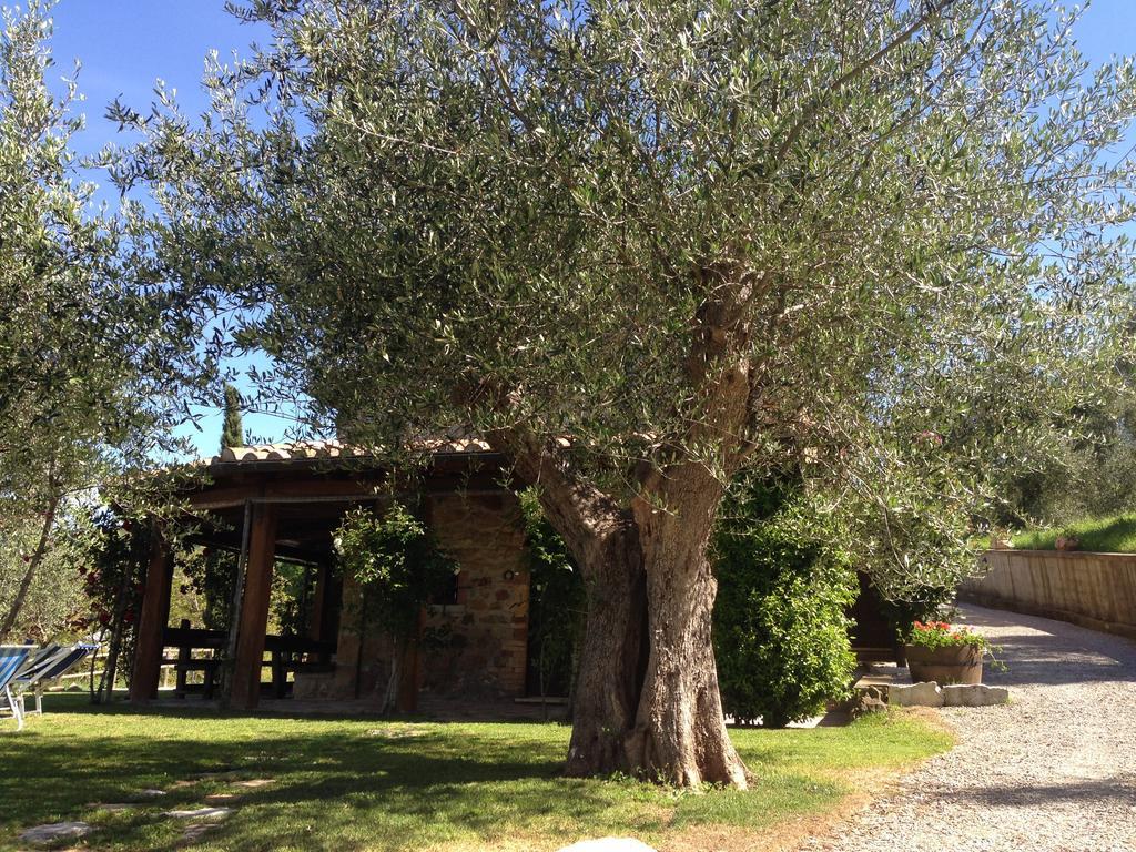 Podere Poggio Benedetto Saturnia Pokój zdjęcie
